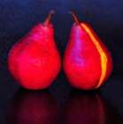 Oregon-Coos Bay Pair of Starkrimson pears Art Print